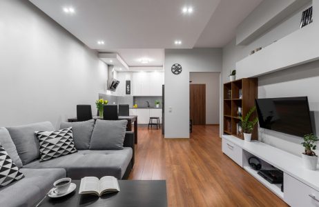 Spacious and modern apartment with big living room and kitchen