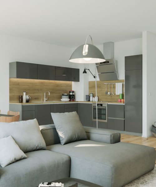 modern luxury european apartment loft with scandinavian furniture design